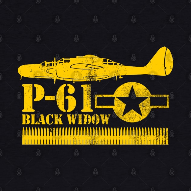 P-61 Black Widow (distressed) by TCP